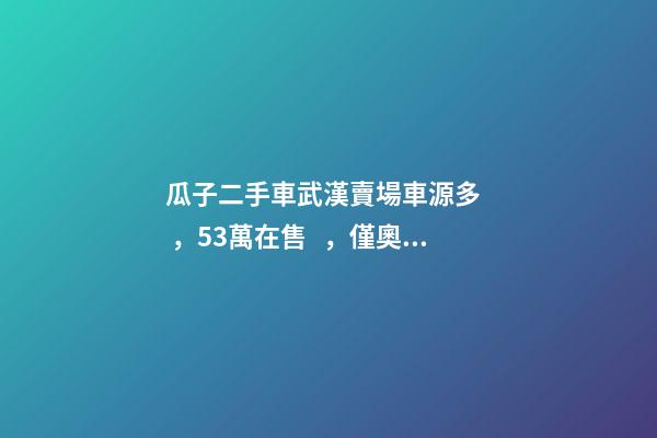 瓜子二手車武漢賣場車源多，5.3萬在售，僅奧迪品牌就有3000多輛